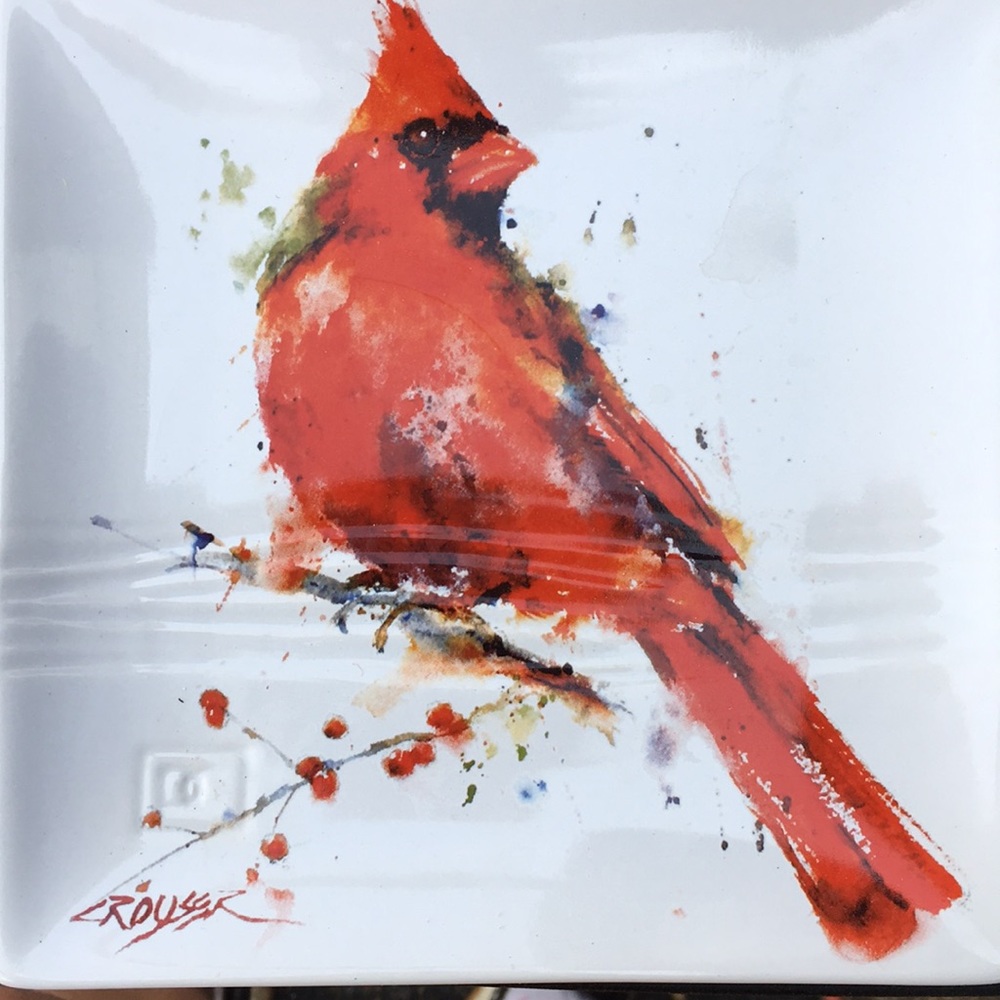 2 cardinal snack plates